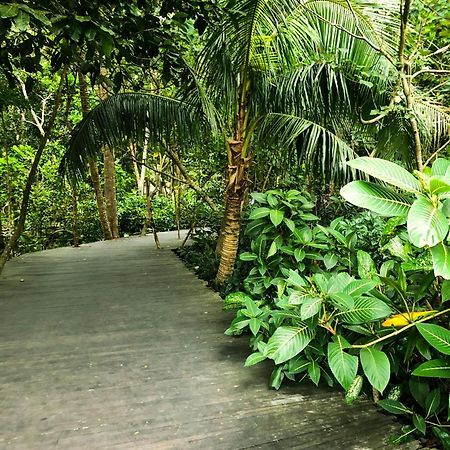 Rayshiva Homestay อูบุด ภายนอก รูปภาพ