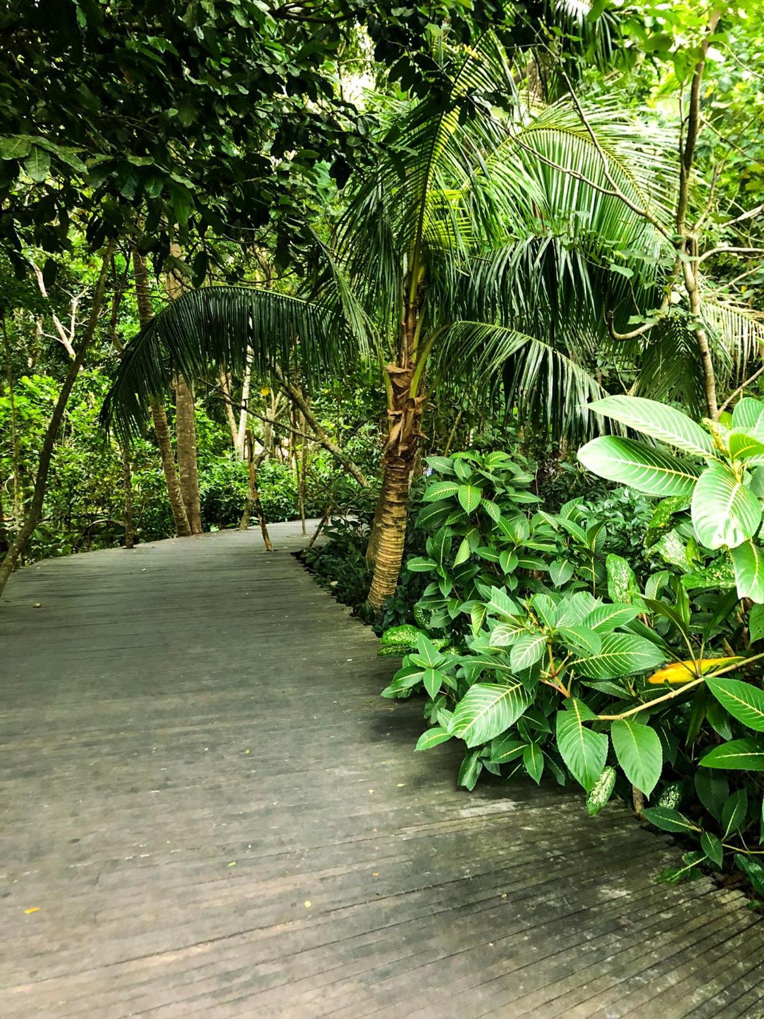 Rayshiva Homestay อูบุด ภายนอก รูปภาพ